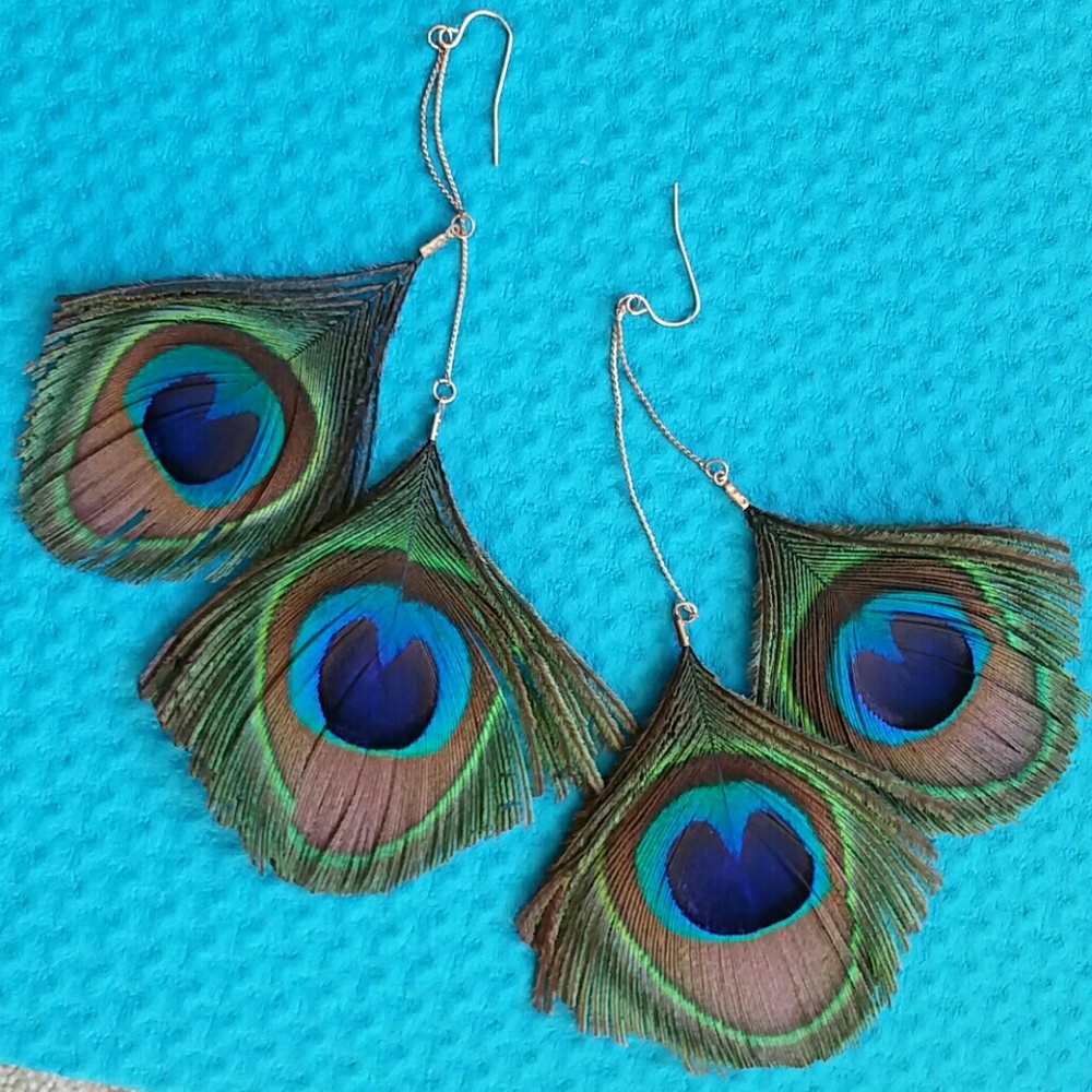 VIBRANT Real Peacock Feather Earrings STUNNING!!